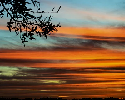 - photo by marie dudek brown