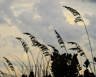 - photo by marie dudek brown