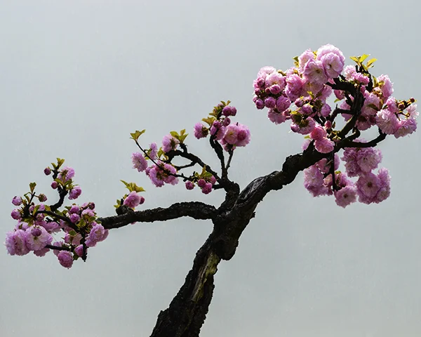 - photo by marie dudek brown