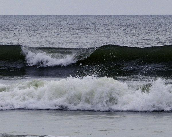 - photo by marie dudek brown