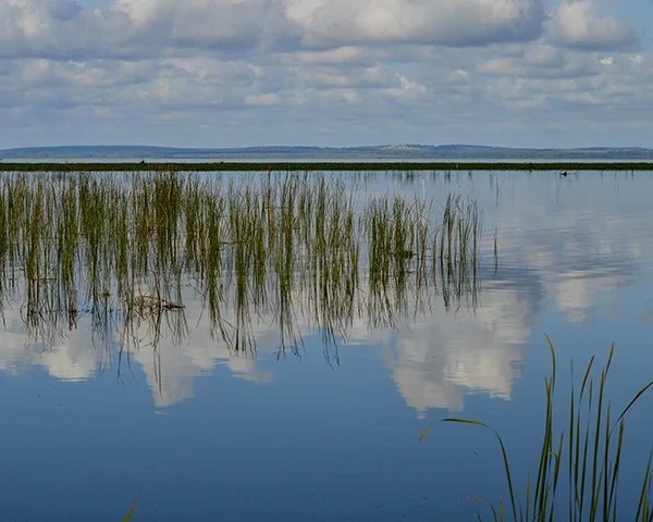 - photo by marie dudek brown
