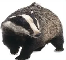 A drill by any other name will turn profits just the same...