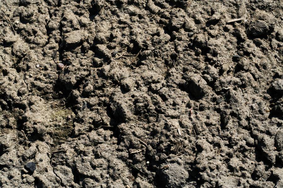 Another game changer - The MARL eSPT