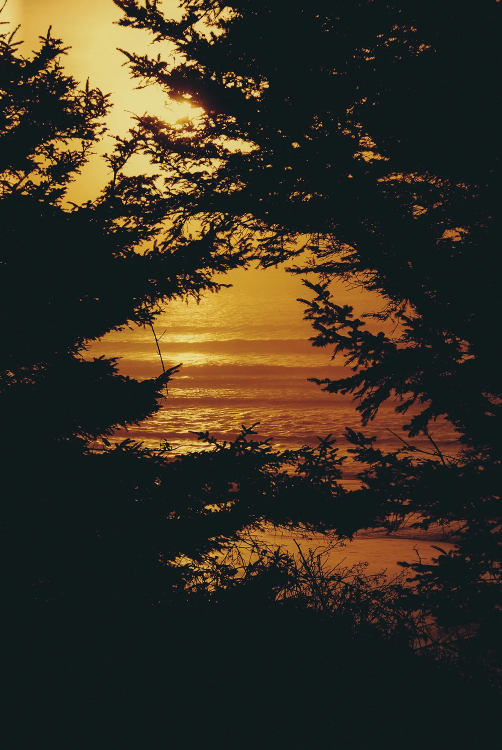 DSC_0759.jpg