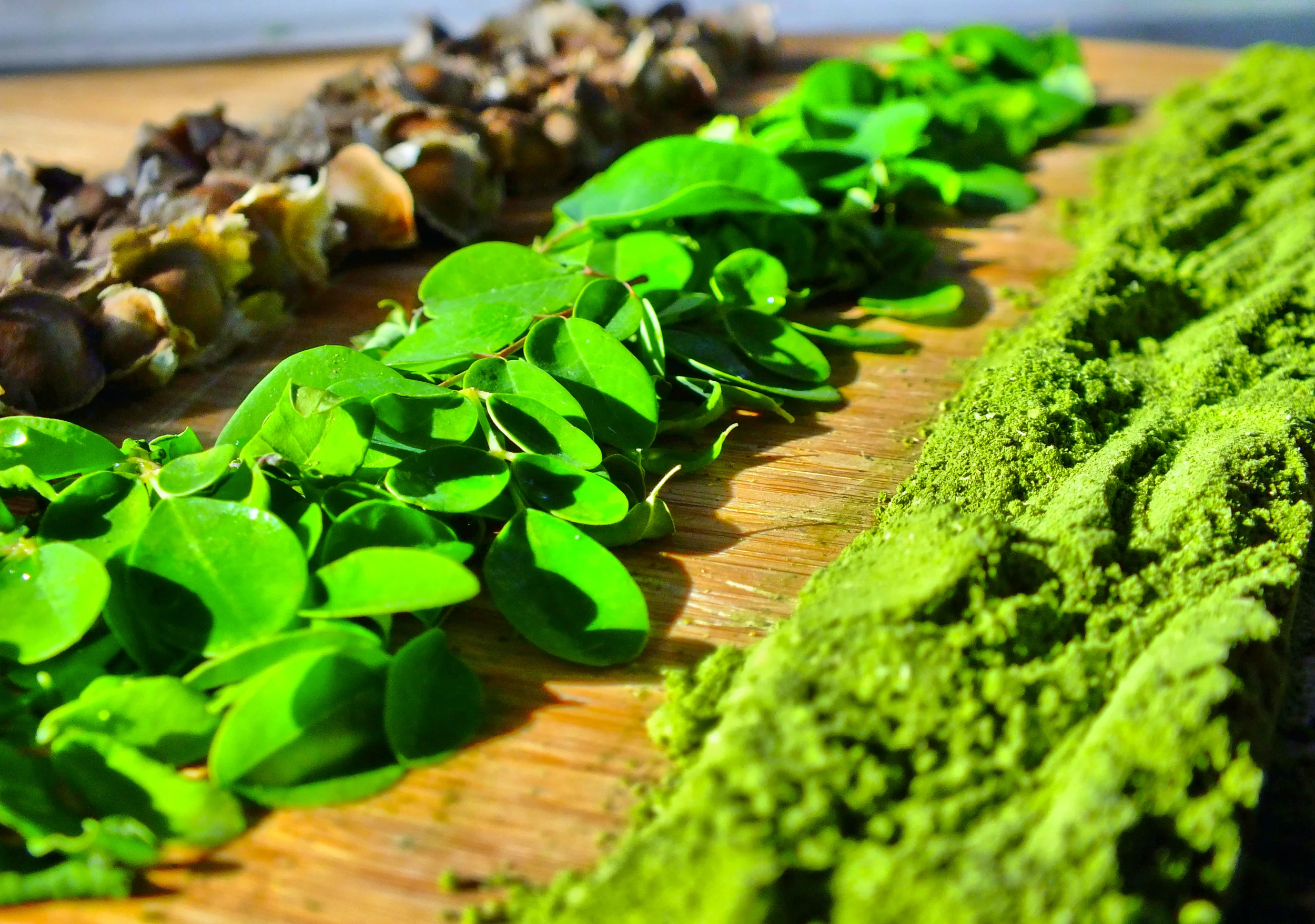 seeds_leaves.jpg