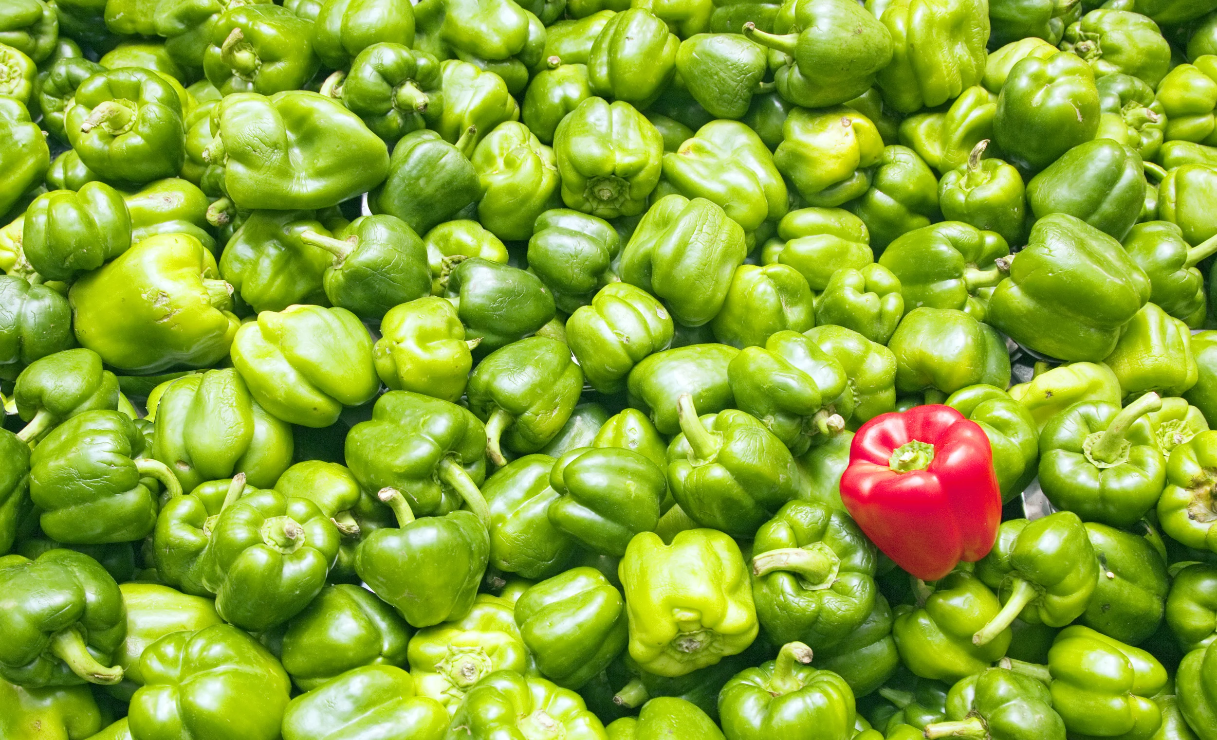 shutterstock_150658874.jpg