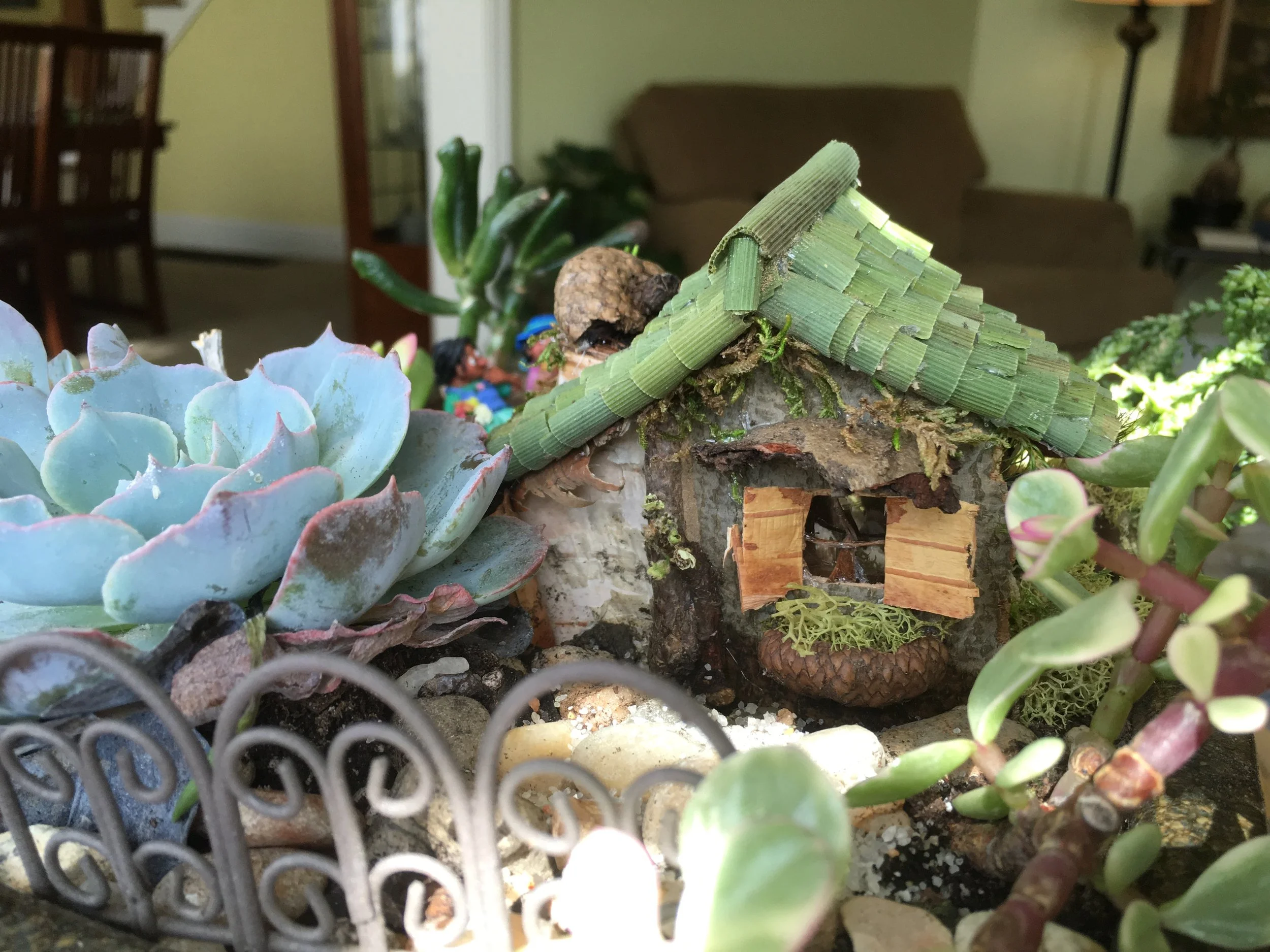 Succulent Garden Ranch - back