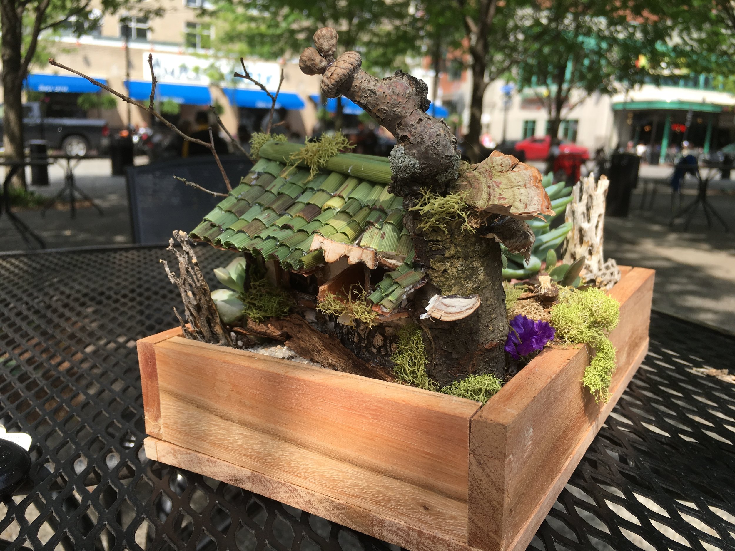 Shoebox Hacienda - back