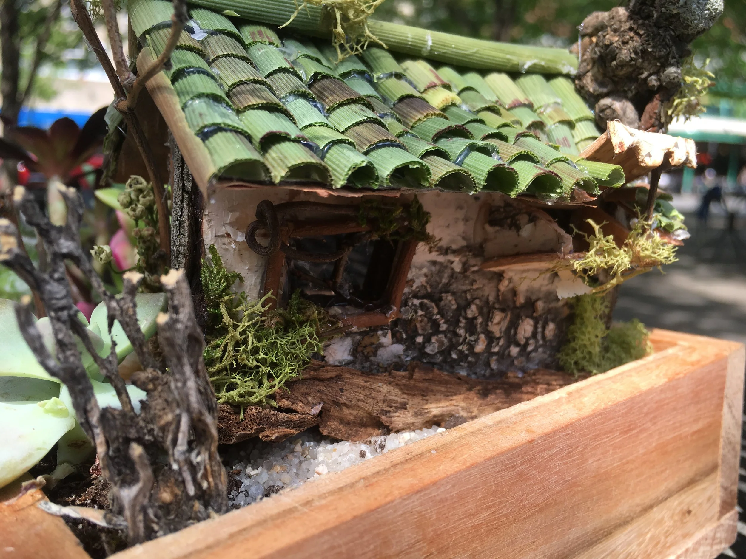 Shoebox Hacienda - side window