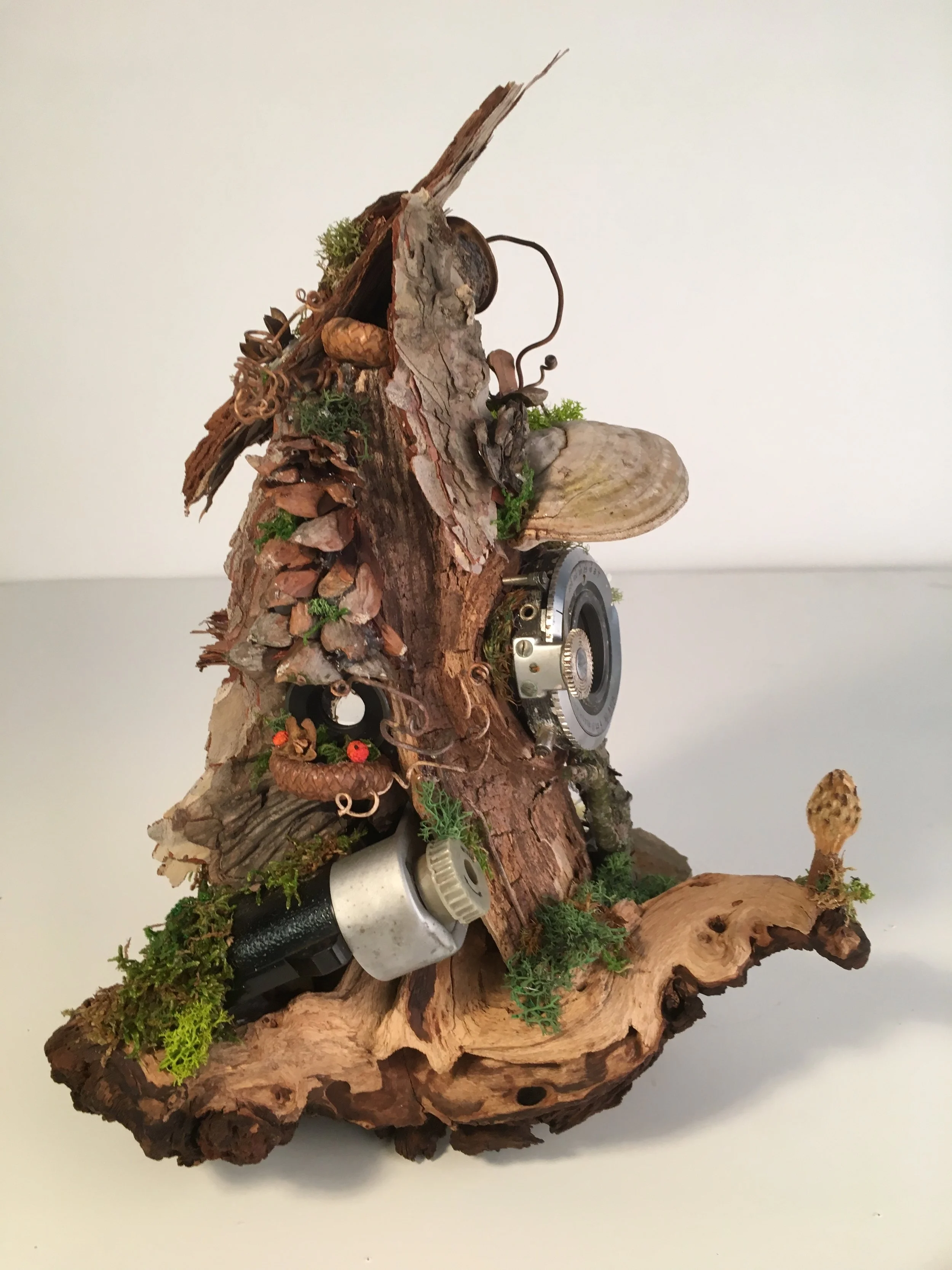 Camera Cottage Faerie Fairy House - side