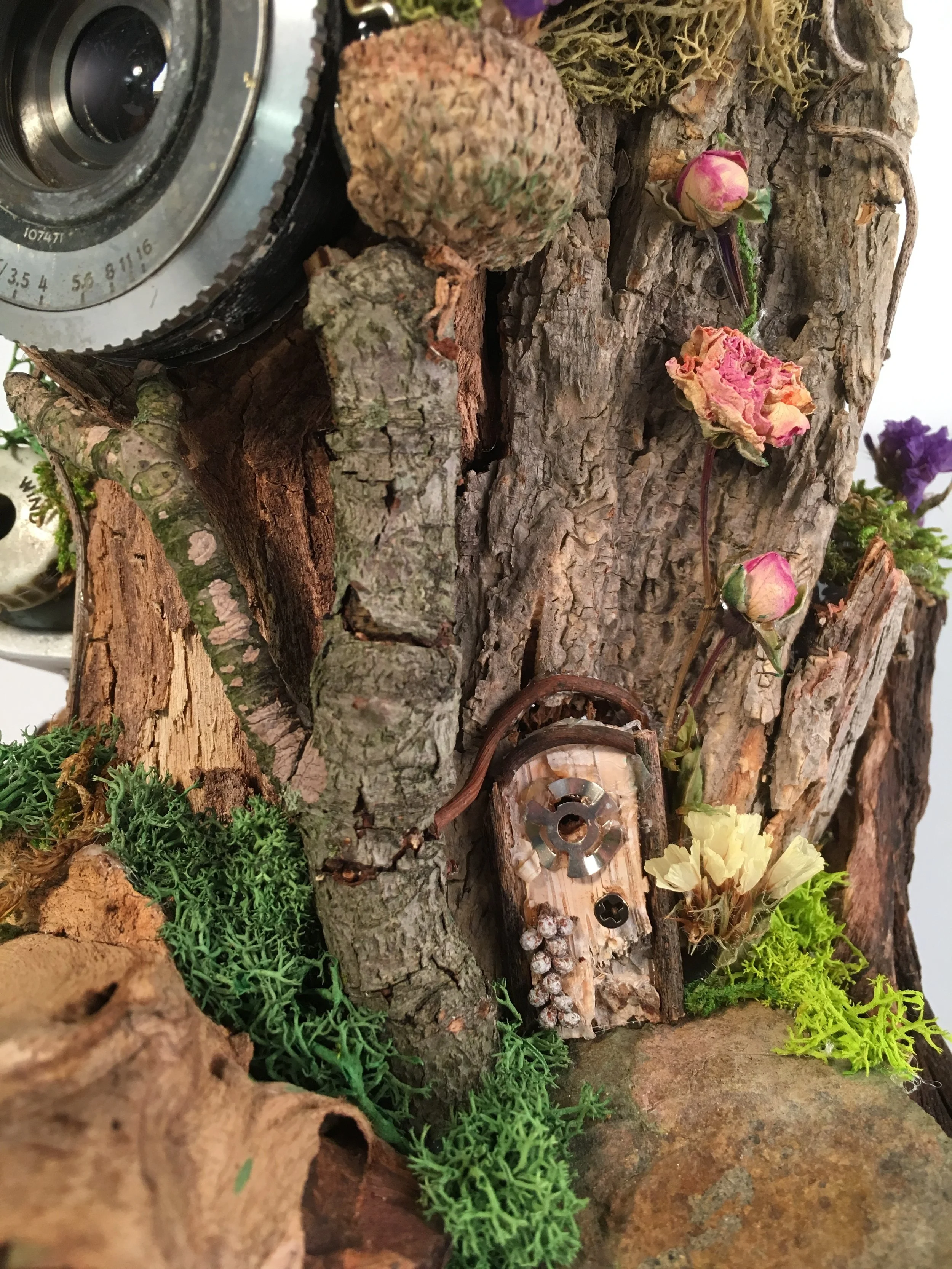 Camera Cottage Faerie Fairy House - detail