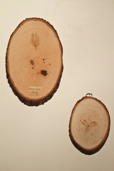 Hazel B Jackson Installation