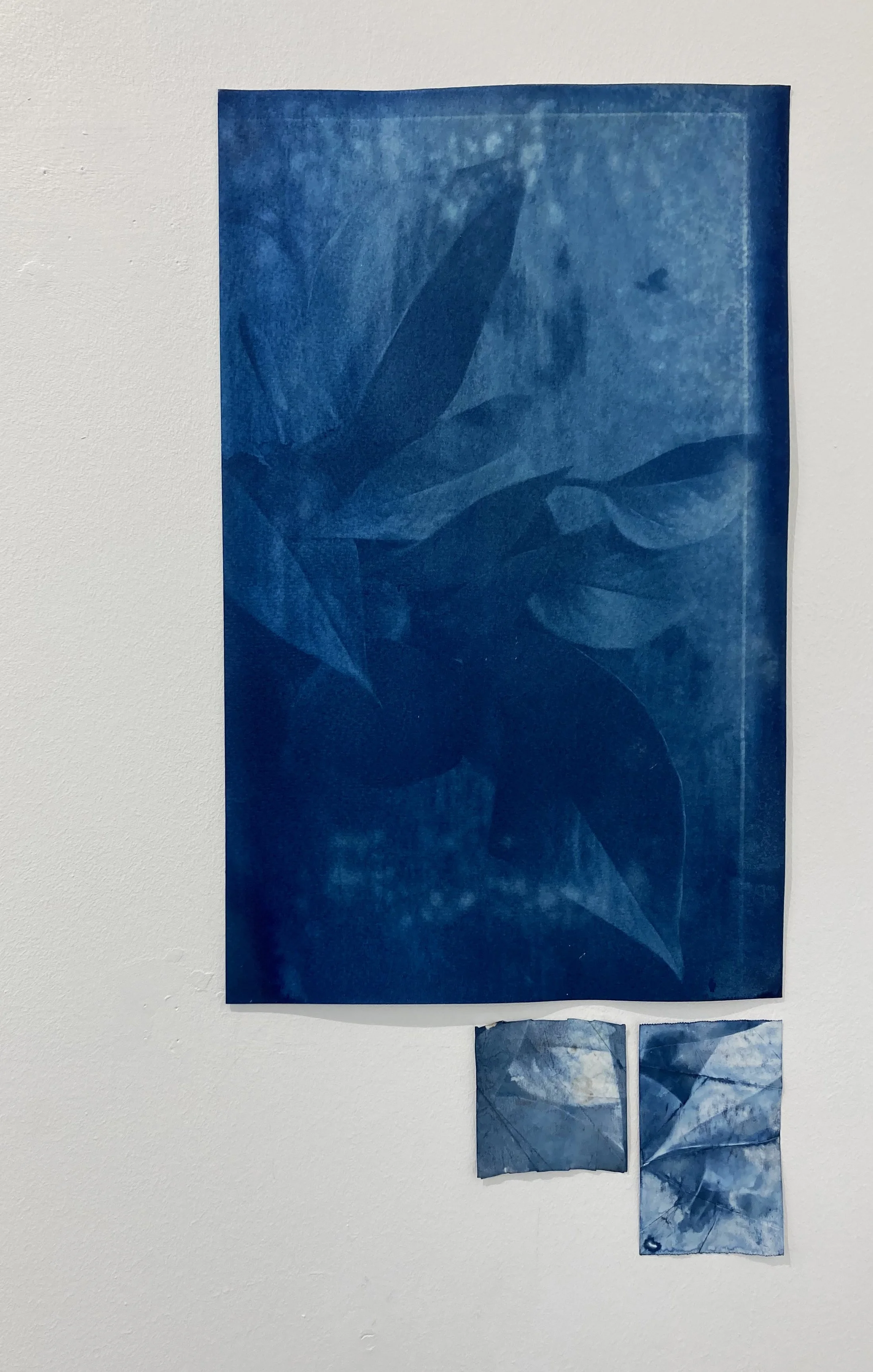 This is what I call my fortune_3.jpeg