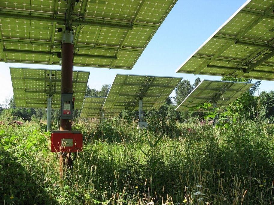 Over 80% of the farm's electrical demand is met by on site solar panels, which are intertied with the utility grid.