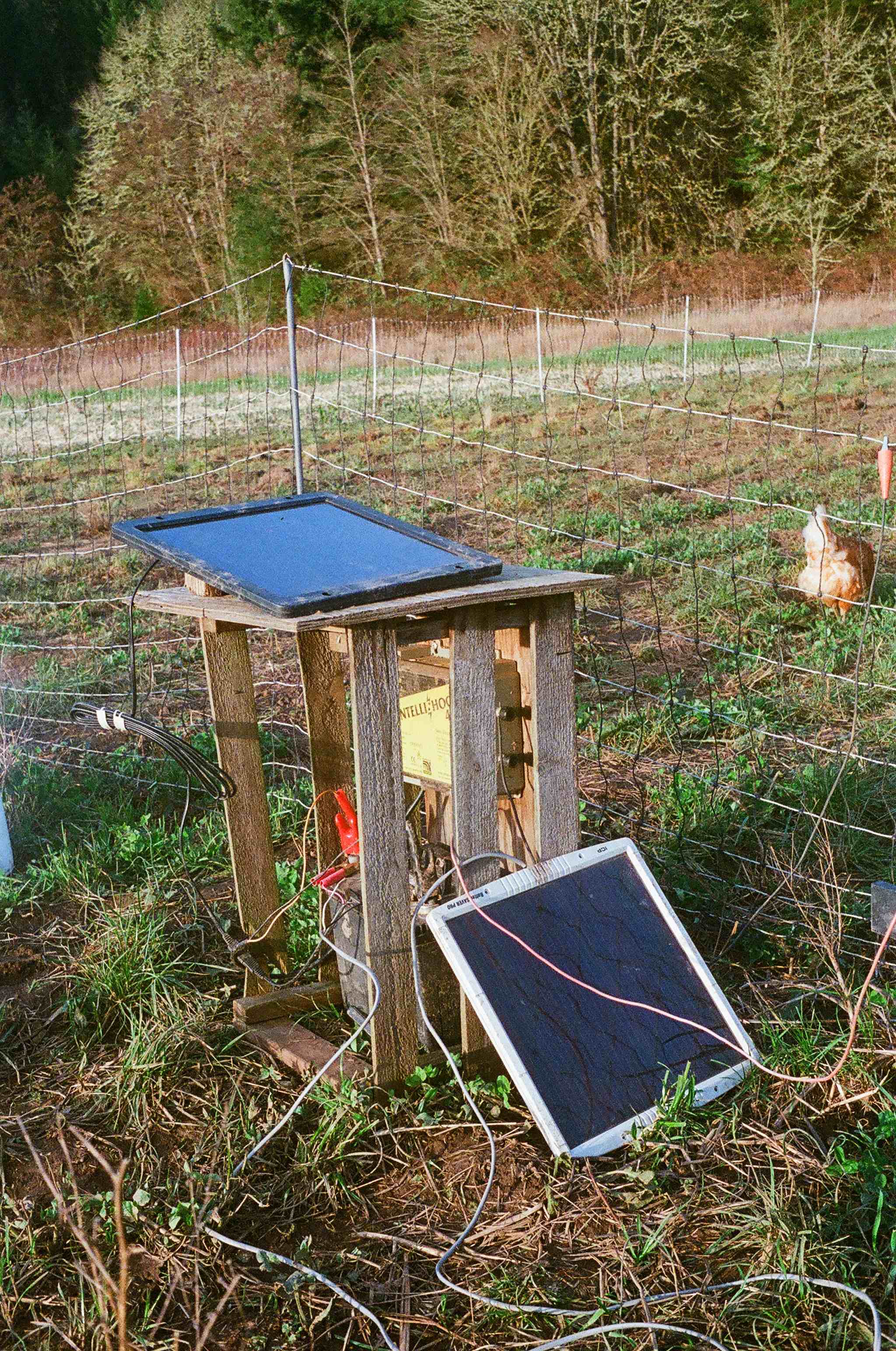 An electric fence used to keep chickens out of our crops is charged by a solar panel.