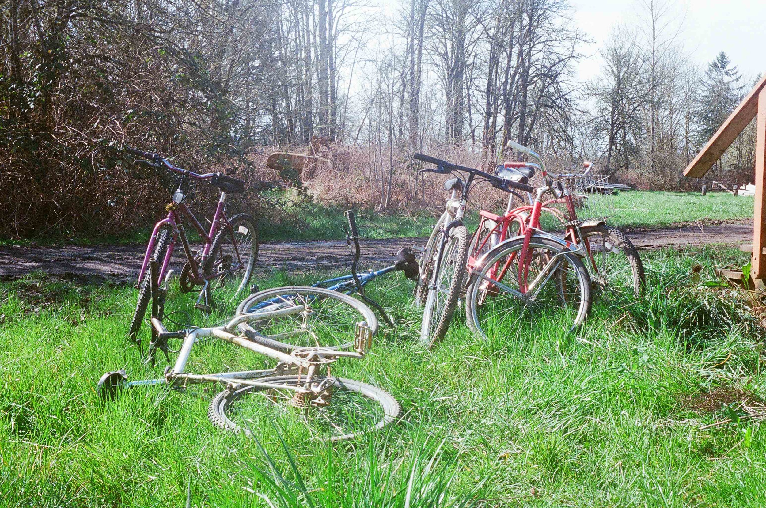 A fleet of zero emission bicycles provide on farm transportation for our workers. The bicycle is surely one of the most useful and efficient technologies ever created.