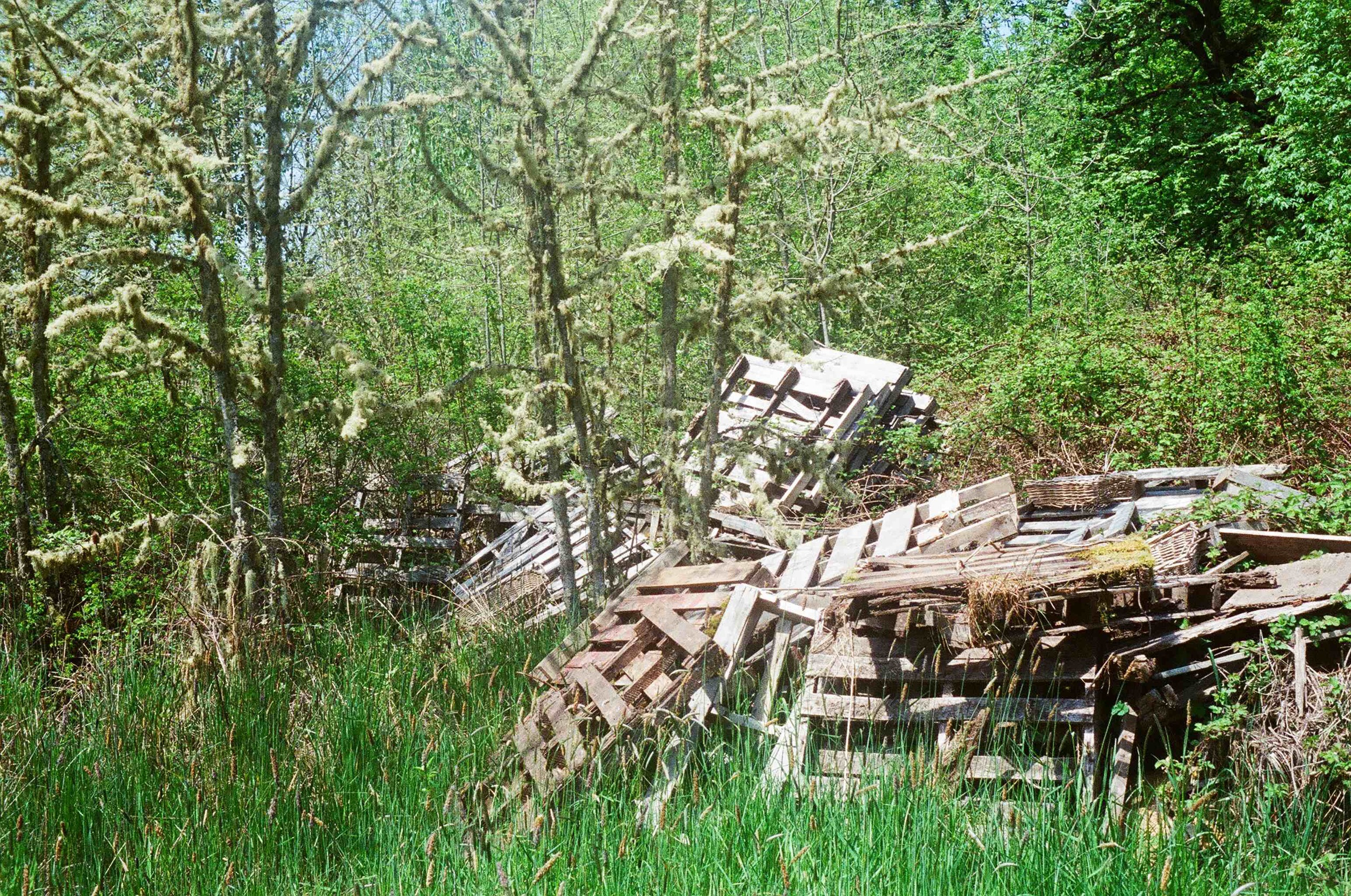  Old pallets and wood scraps accumulate and rot into the soil rather than being burned. 