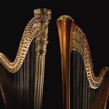 Play Nice: An evening of Two Harps 