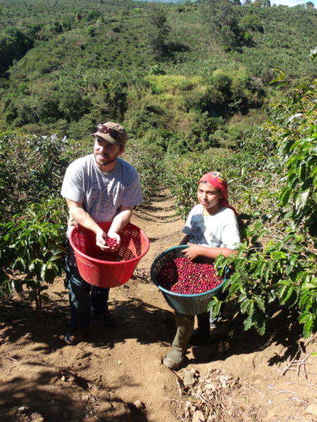 Randy Evans picking cherries at Don Sabino's Finca El Fuerte
