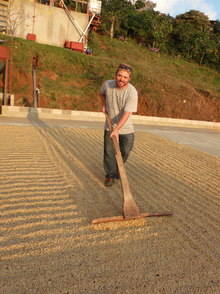 Randy learning the proper method of raking the drying patio at Aguilera Brothers mill
