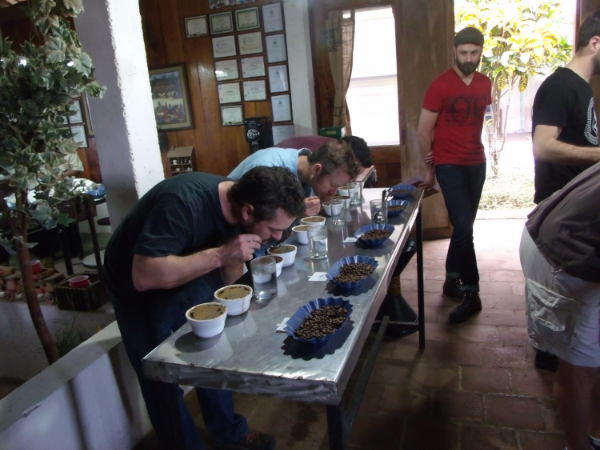 Rick, Randy, and Daniel cupping 42 micro-lots at the Menendez' cupping lab in El Salvador to select the best
