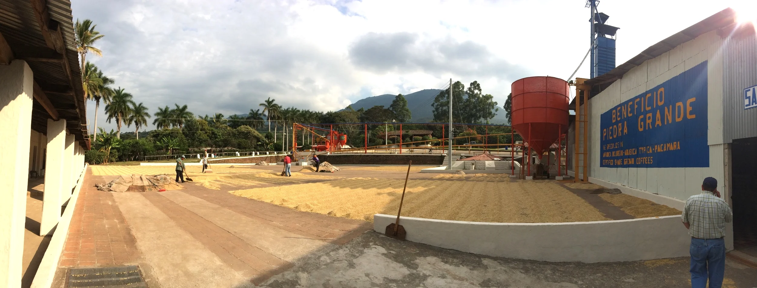Beneficio Piedra Grande