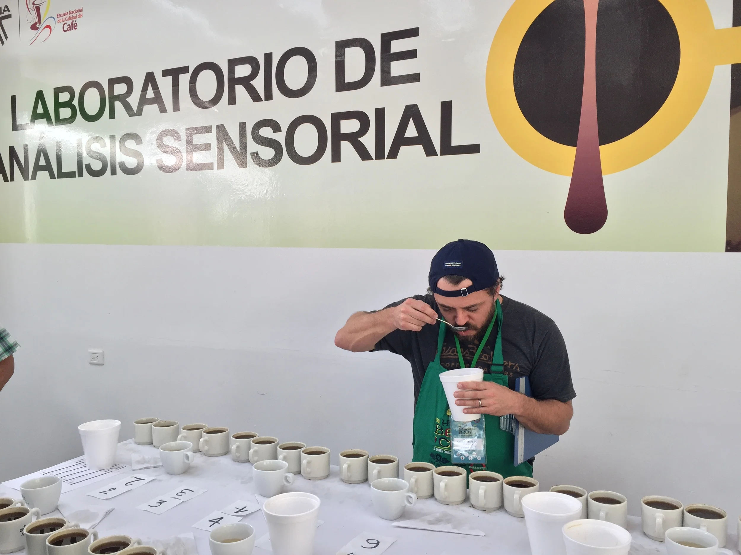 Cupping many beautiful Huila coffees.