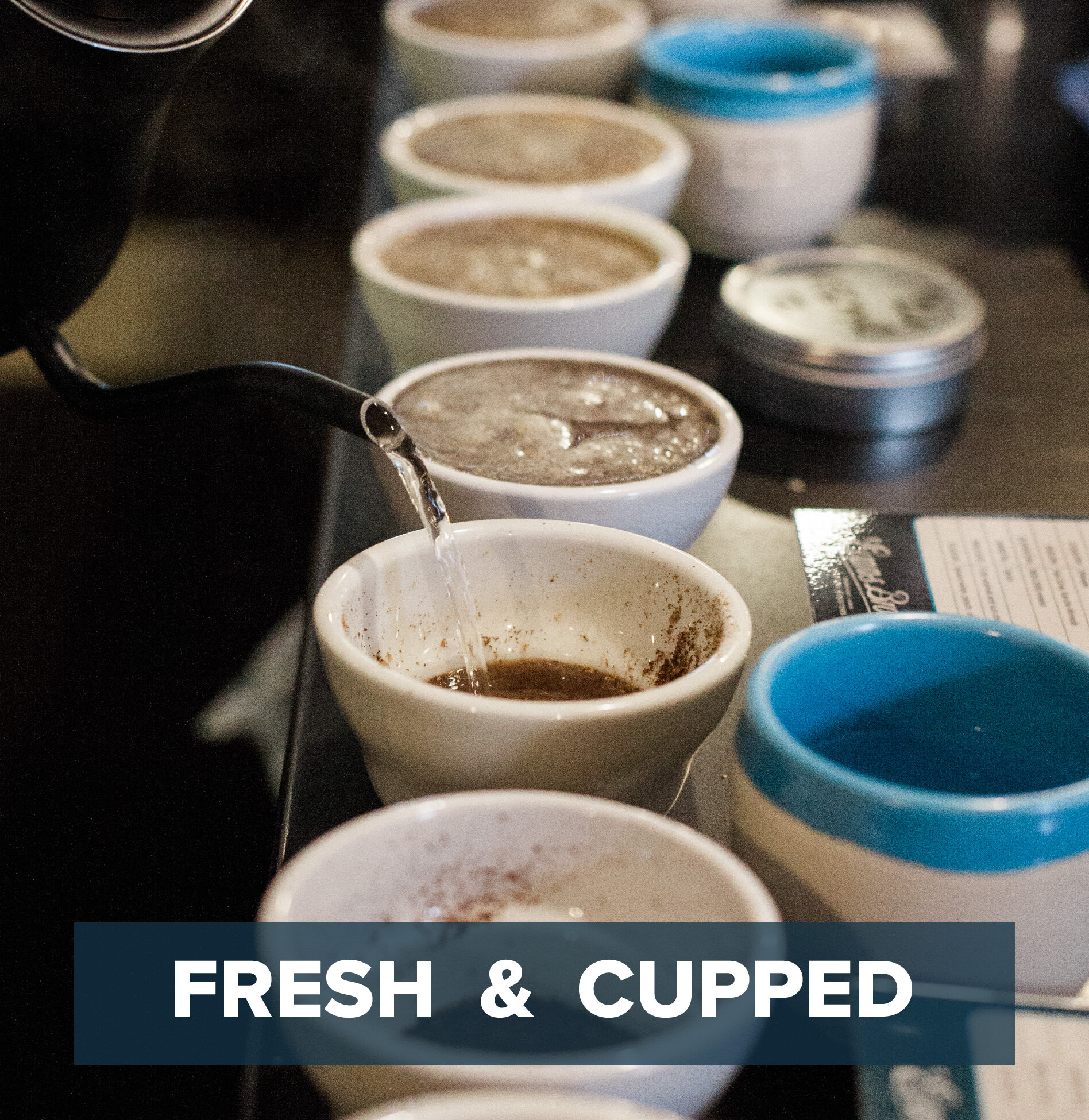 Bean to Cup Coffee - Coffee Services from Evans Company