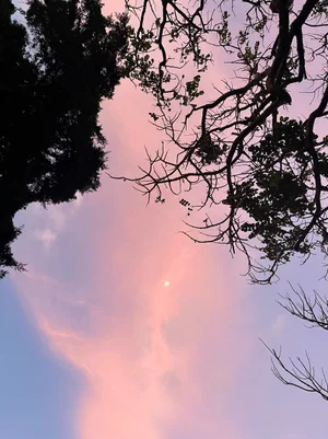 IMG_1088.jpeg