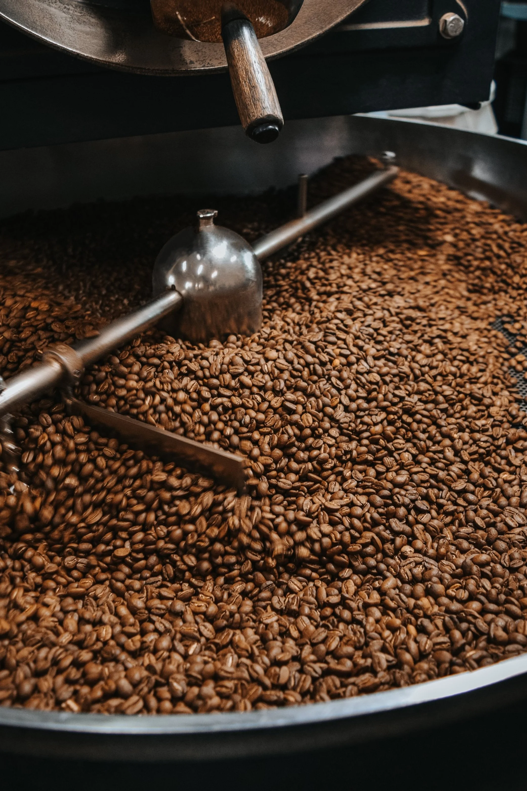 CLASSIC & COMFORT 3 PACK — Evans Brothers Coffee