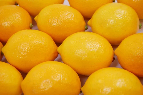 Nature's Partner Meyer lemons. Click to download high resolution image.
