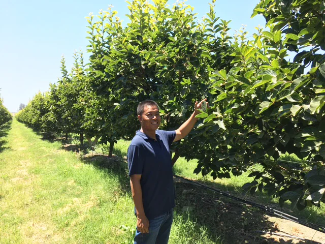 Our grower, Vannak Thol.