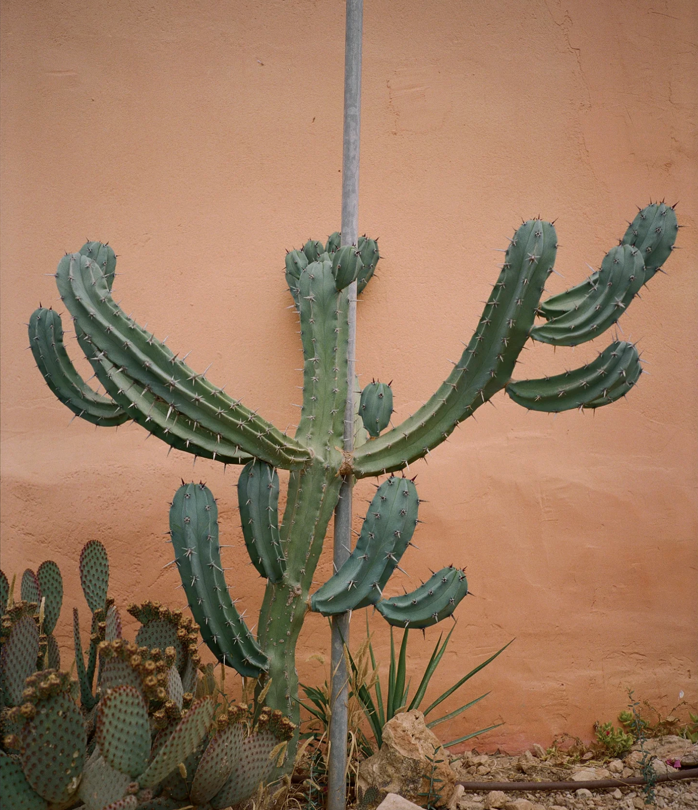 Screenshot 2026-01-02 at 6.17.40 PM.png