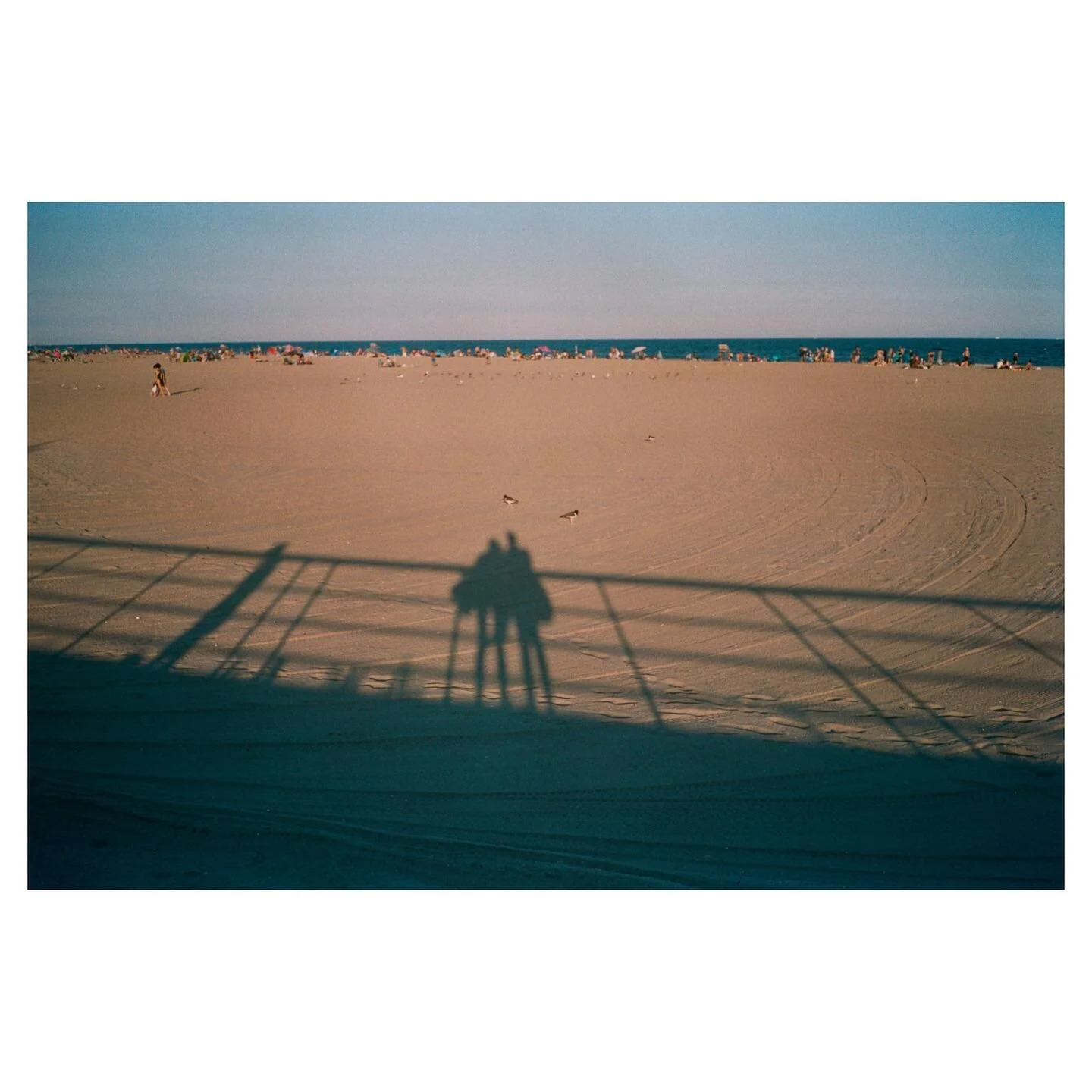 2 Birds and Lanky Shadows (2018-2020)