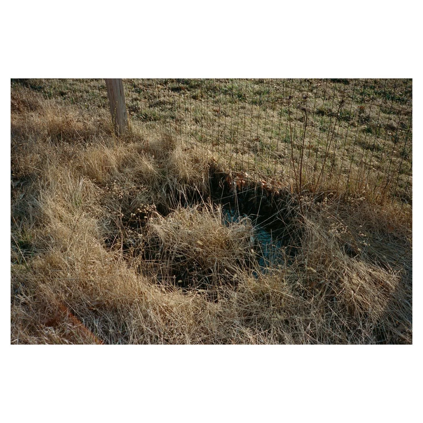 Natural Circles (2018-2020)