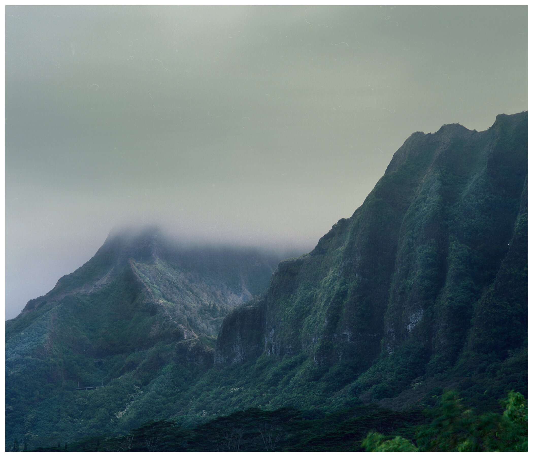 Pali, Ko'olau Range Oahu