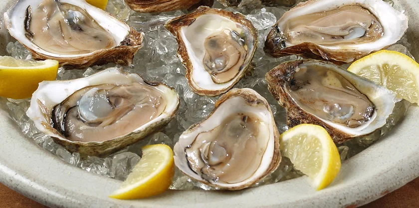 oysters.jpg