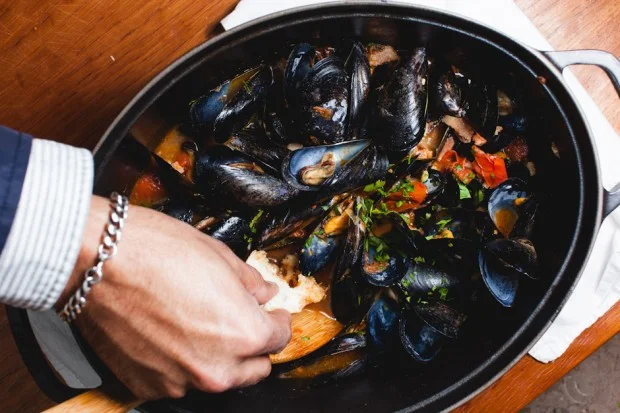 Steamed Mussels