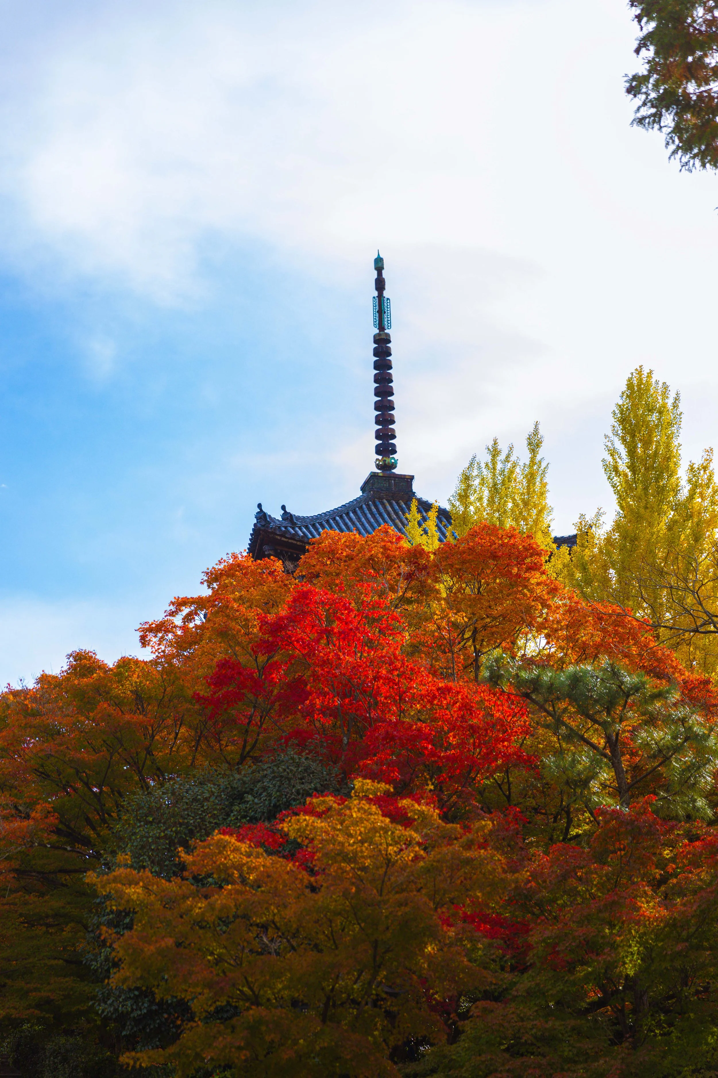 JAPAN-AUTUMN01--2.jpg