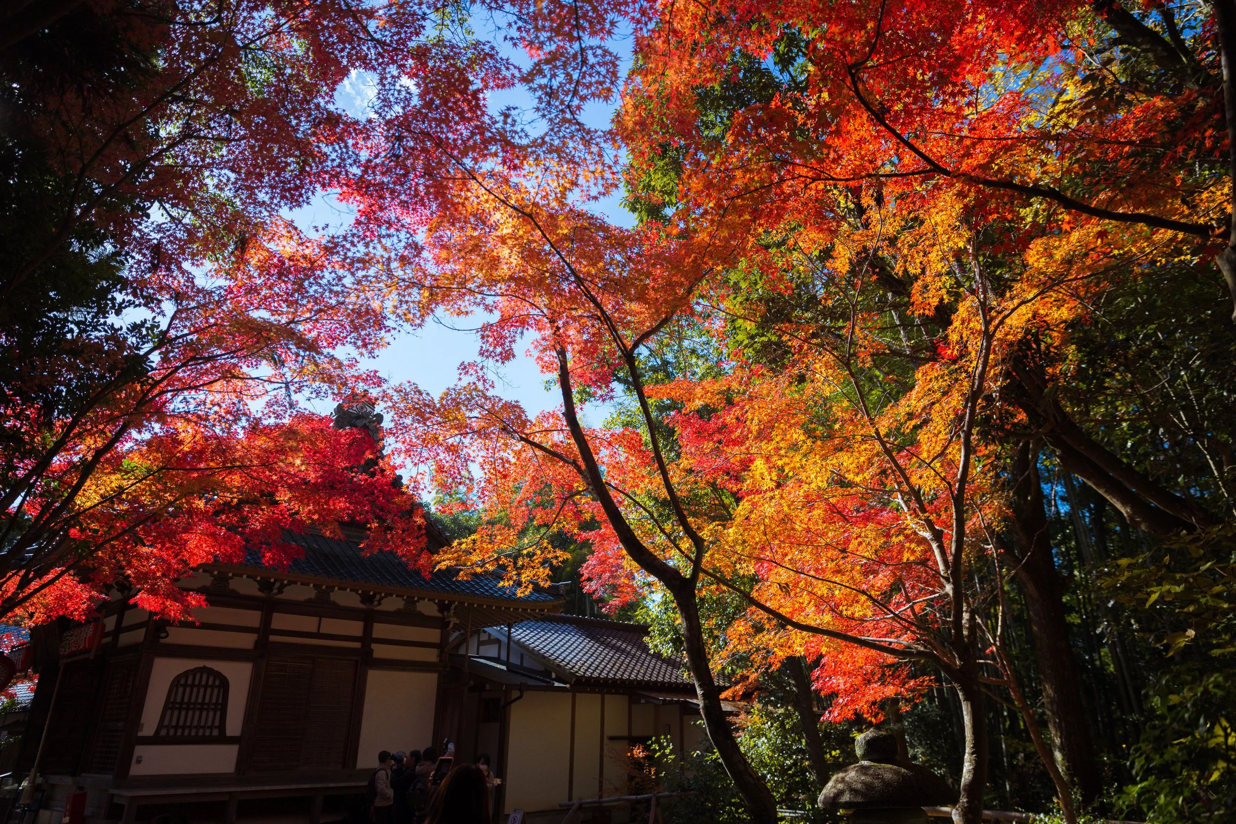 JAPAN-JPG00029.jpg