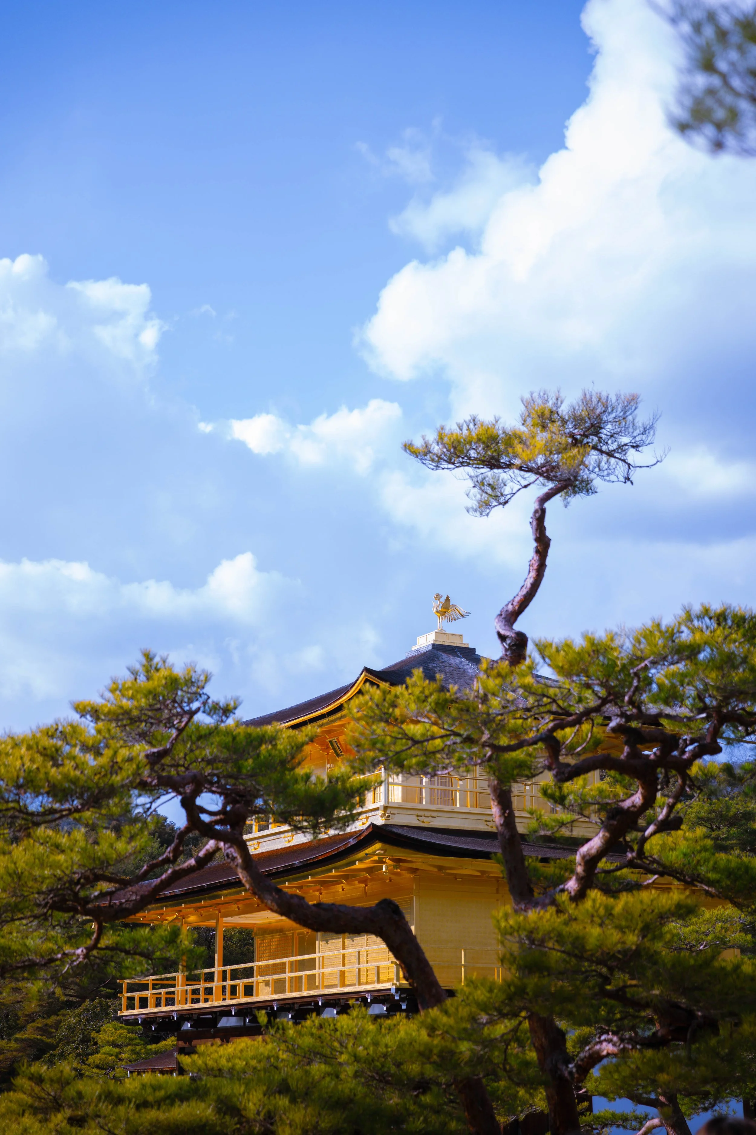 Family Tour West Side - Kinkaku-Ji - Kitano Tenma-gu-77.jpg