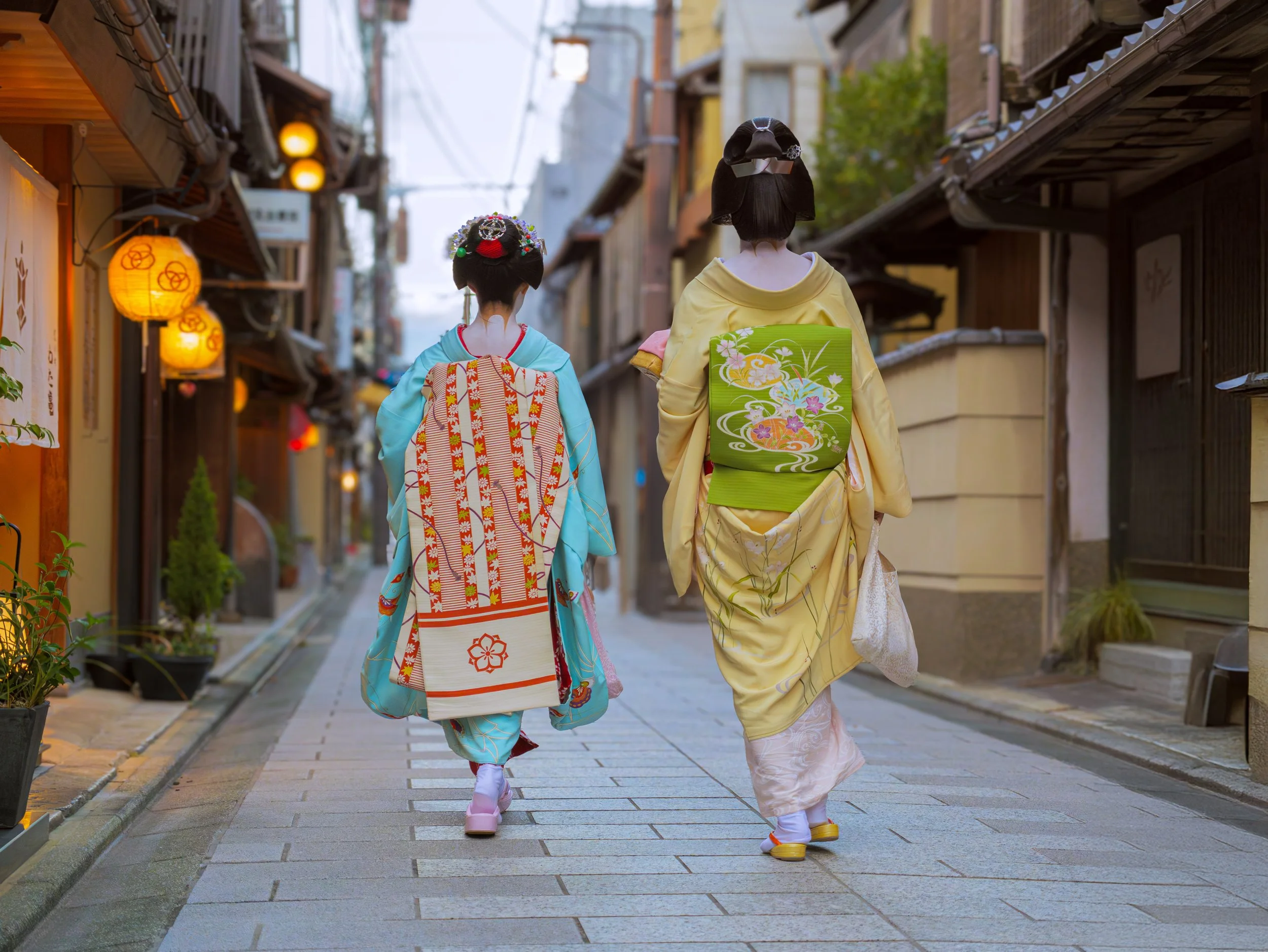 MAIKO BACK.jpg