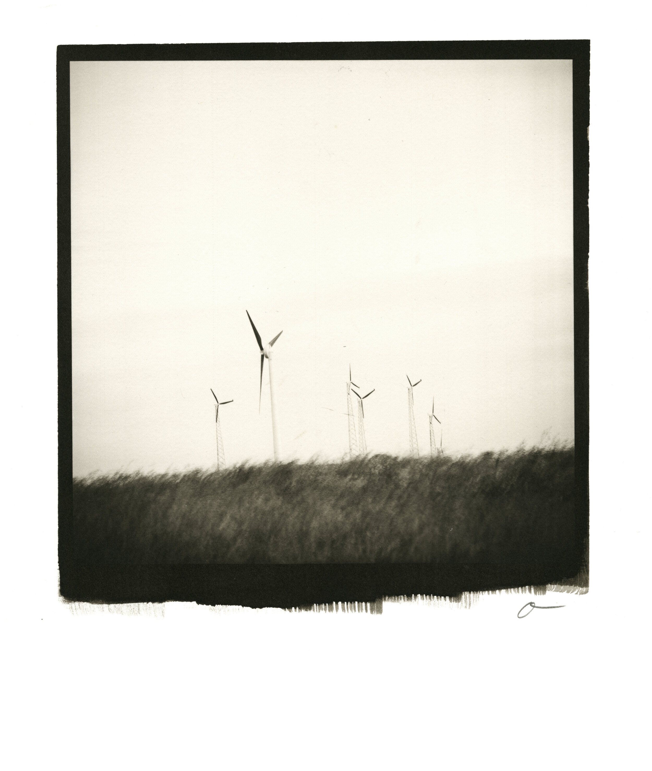 Wind Farm.jpg