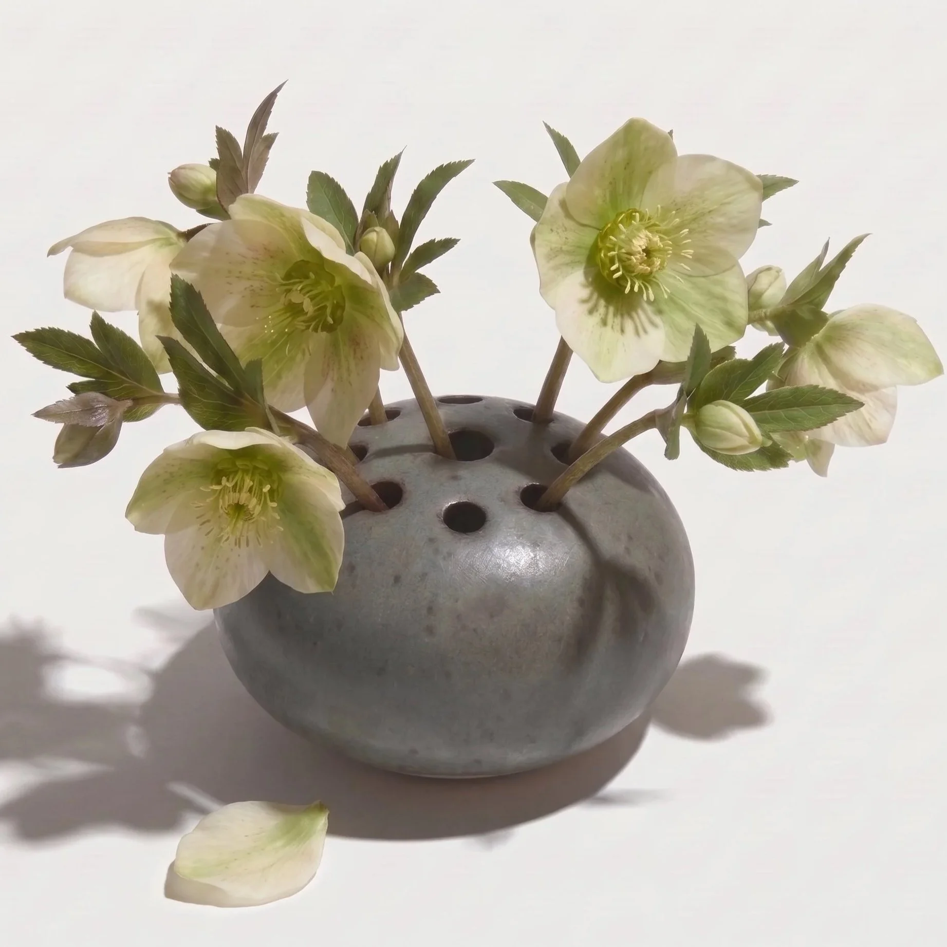 Mini+Frog+Flowers+2.jpg