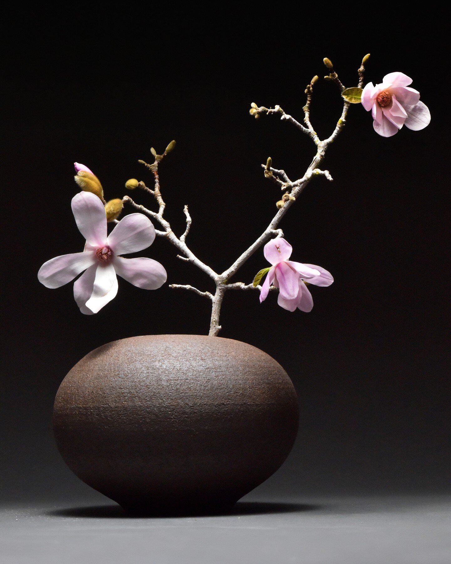 Variations on the Rose Bowl vase shape &mdash; unglazed dark brown, encrusted surface (not yet fired) and dark water glaze with speckles.