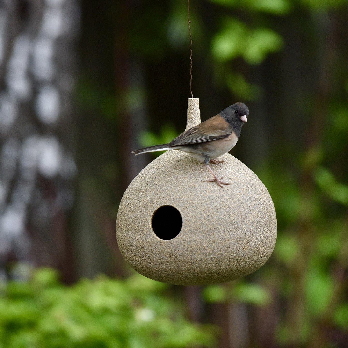 Bird feeders are back in stock &mdash; in addition to Sand, there is the Espresso-with-integrated-large-speckles special edition! The speckles are repurposed clay scraps wedged into the dark clay before throwing on the potter's wheel.