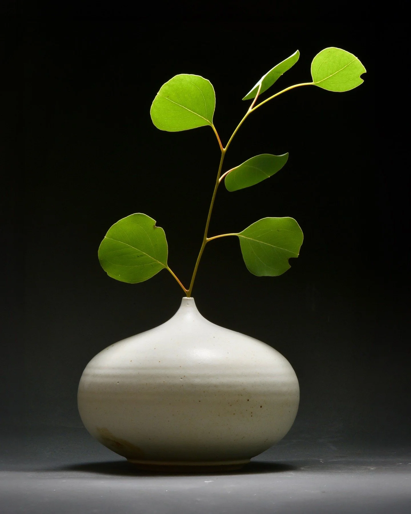 We'll be at the St. Helena Winter Market this weekend. 

The market features 24 designers and makers including ceramics, jewelry, textiles, artisanal foods, and furniture.

Dec 13 / Saturday 10-5
Dec 14 / Sunday 10-4

Native Sons Hall
1313 Spring St.