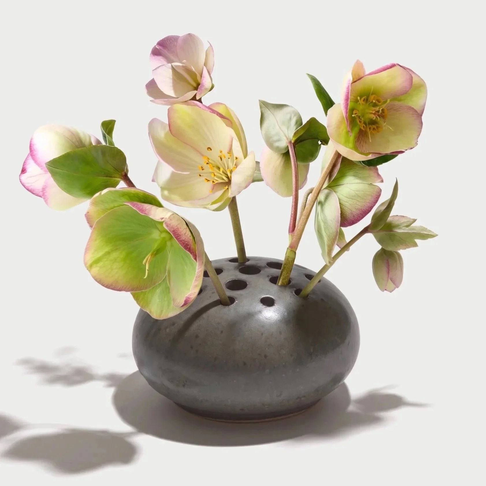 Frog Vase  (DW)