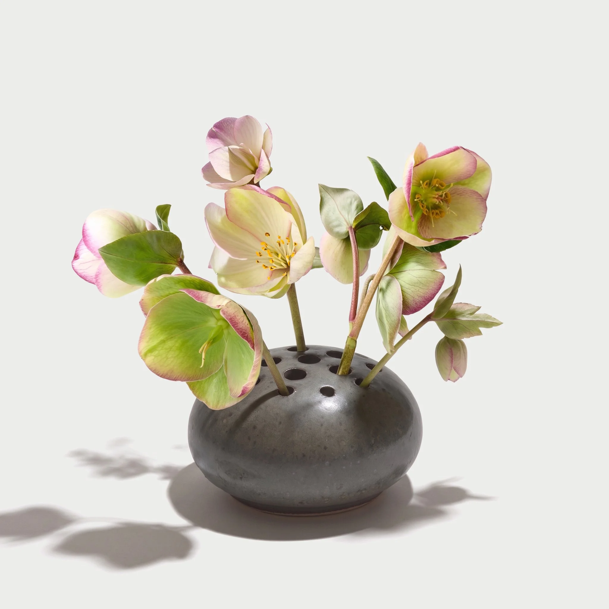 Frog Vase  (DW)