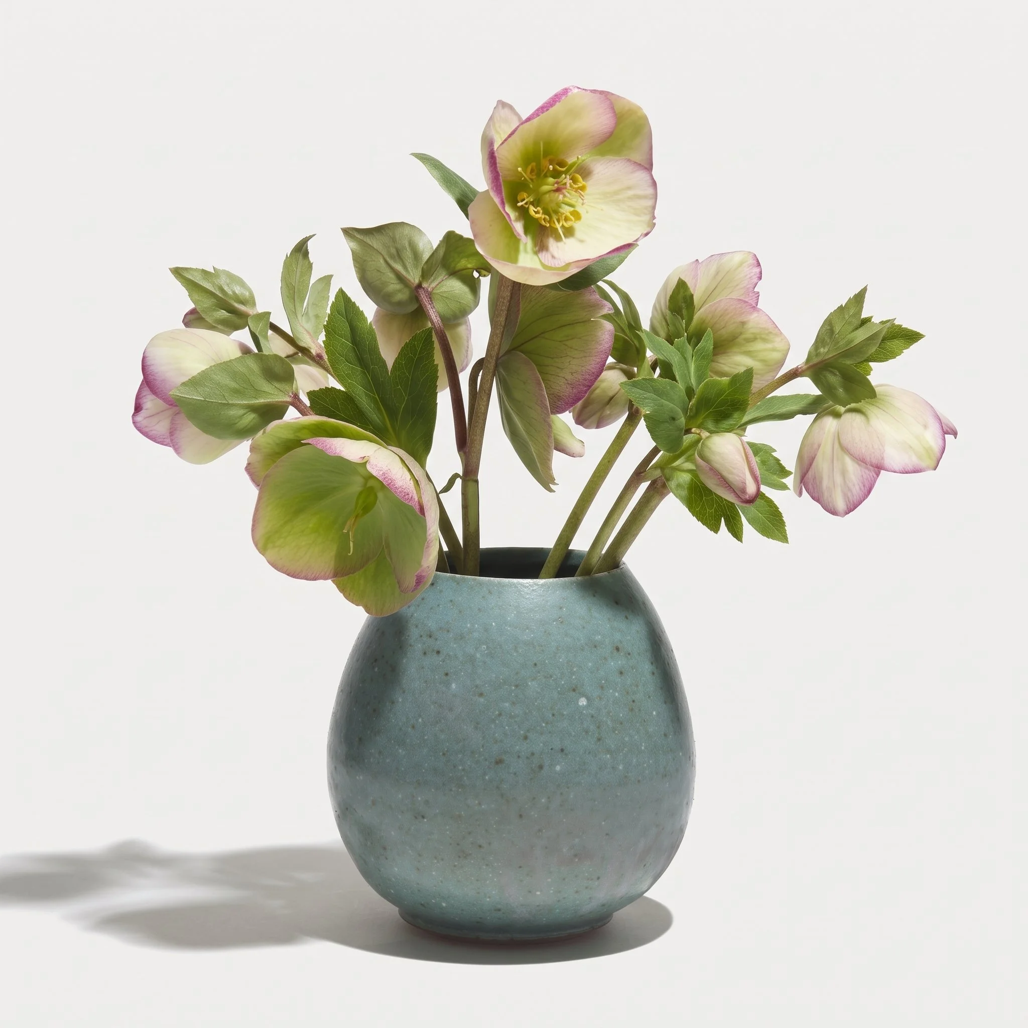 Fog vase with flowers.jpg
